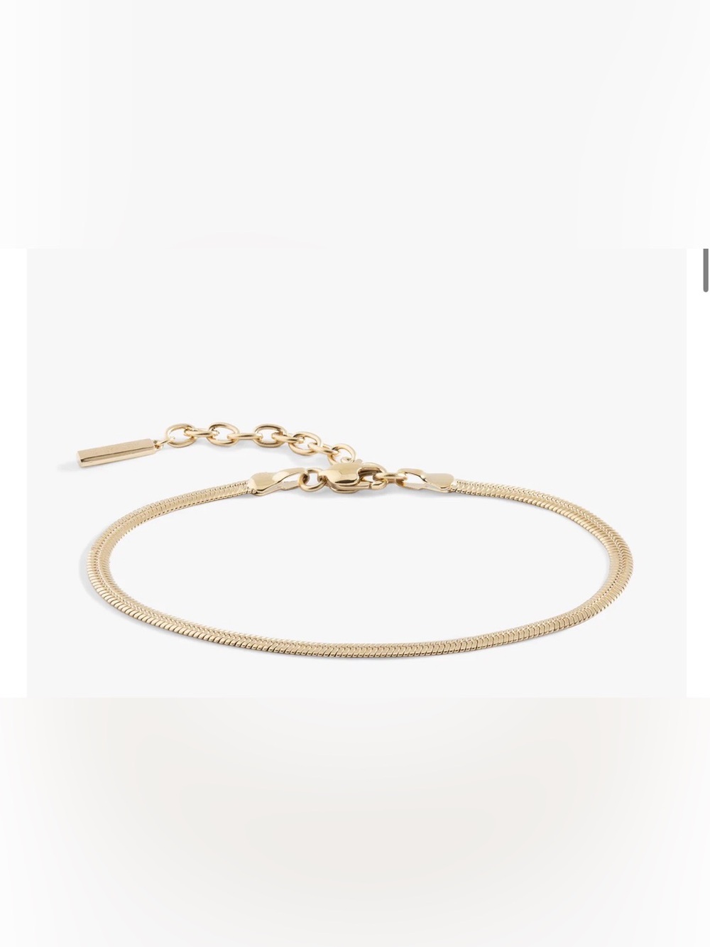 Alex and Ani Gold-Tone Double Chain Bracelet